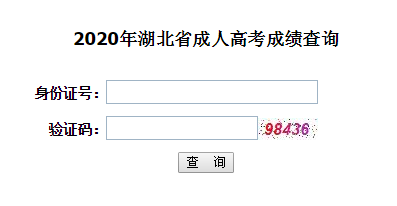 2020年中南財(cái)大成人高考成績(jī)查詢時(shí)間及入口