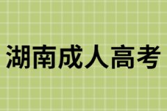 湖南成考報名現(xiàn)場需要的材料以及確認流程有哪些？