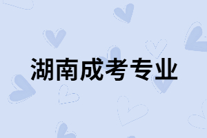 湖南成考報考哪些專業(yè)比較容易錄??？