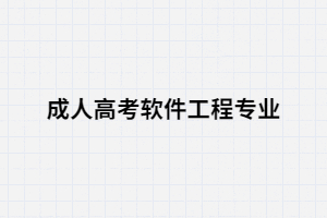 湖南大學(xué)成考軟件工程專業(yè)就業(yè)前景怎么樣？