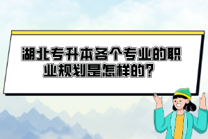 湖北專升本各個專業(yè)的職業(yè)規(guī)劃是怎樣的？