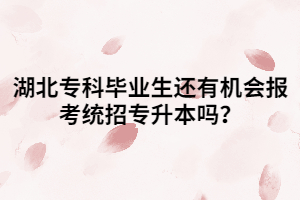 湖北專科畢業(yè)生還有機(jī)會(huì)報(bào)考統(tǒng)招專升本嗎？