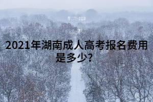 2021年湖南成人高考報(bào)名費(fèi)用是多少？