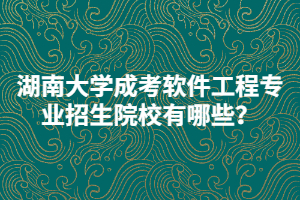 湖南大學(xué)成考軟件工程專業(yè)招生院校有哪些？