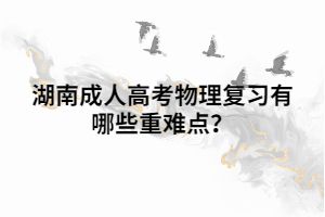 湖南成人高考物理復(fù)習(xí)有哪些重難點(diǎn)？