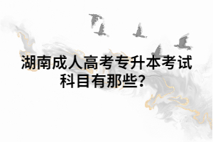 湖南成人高考專升本考試科目有那些？