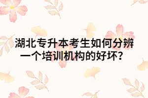 湖北普通專升本考生如何分辨一個培訓(xùn)機構(gòu)的好壞呢？