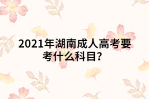 2021年湖南成人高考要考什么科目？
