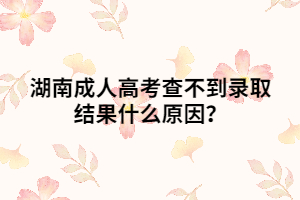 湖南成人高考查不到錄取結(jié)果什么原因？