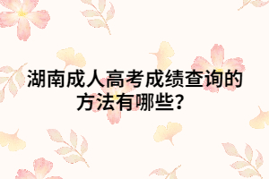 湖南成人高考成績(jī)查詢的方法有哪些？