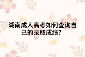 湖南成人高考如何查詢自己的錄取成績？