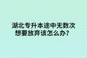 湖北專升本途中無(wú)數(shù)次想要放棄該怎么辦？