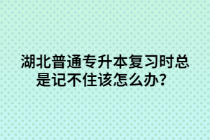 湖北普通專升本復(fù)習(xí)時(shí)總是記不住該怎么辦？