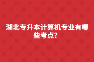 湖北專升本計算機專業(yè)有哪些考點？