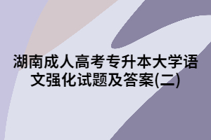 2020年湖南成人高考專升本大學(xué)語(yǔ)文強(qiáng)化試題及答案(二)