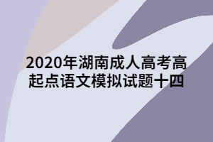 2020年湖南成人高考高起點(diǎn)語(yǔ)文模擬試題十四