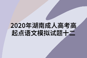 2020年湖南成人高考高起點(diǎn)語(yǔ)文模擬試題十四