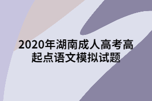 2020年湖南成人高考高起點(diǎn)語文模擬試題九