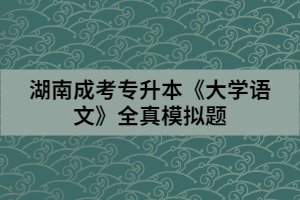 湖南成考專升本《大學(xué)語文》全真模擬題（一）