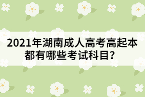 2021年湖南成人高考高起本都有哪些考試科目？