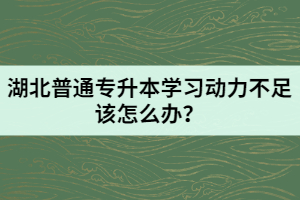 湖北普通專升本學(xué)習(xí)動力不足該怎么辦？