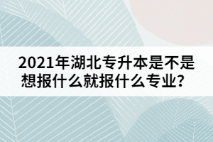 2021年湖北專升本是不是想報什么就報什么專業(yè)？