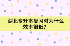 湖北專升本復(fù)習(xí)時為什么效率很低？