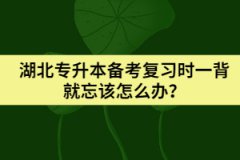 湖北專升本備考復(fù)習(xí)時一背就忘該怎么辦？