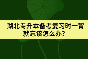 湖北專升本備考復(fù)習(xí)時一背就忘該怎么辦？