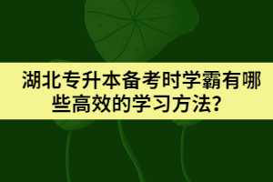 湖北專升本備考時(shí)學(xué)霸有哪些高效的學(xué)習(xí)方法？