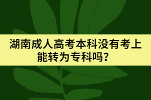 湖南成人高考本科沒(méi)有考上能轉(zhuǎn)為?？茊?？