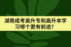 湖南成考高升專和高升本學(xué)習(xí)哪個(gè)更有前途？