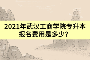 2021年武漢工商學(xué)院專升本報(bào)名費(fèi)用是多少？