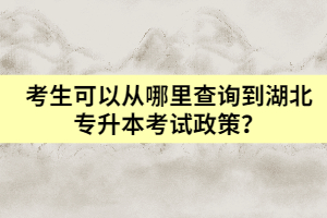 考生可以從哪里查詢到湖北專升本考試政策？