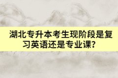 湖北專升本考生現(xiàn)階段是復習英語還是專業(yè)課？