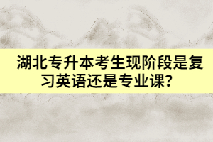 湖北專升本考生現(xiàn)階段是復(fù)習(xí)英語還是專業(yè)課？