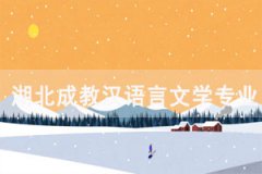 湖北成教漢語言文學專業(yè)將來可以做什么工作？