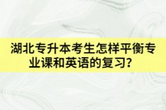 湖北專升本考生怎樣平衡專業(yè)課和英語的復(fù)習(xí)？