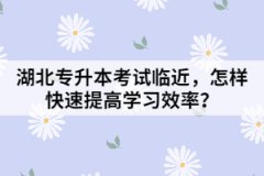 湖北專升本考試臨近，怎樣快速提高學(xué)習(xí)效率？