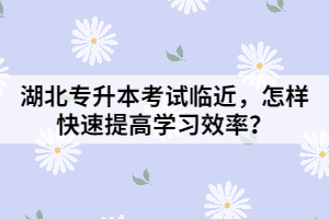 湖北專升本考試臨近，怎樣快速提高學習效率？