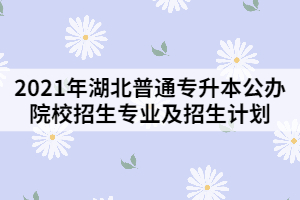 2021年湖北普通專升本公辦院校招生專業(yè)及招生計劃