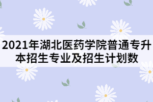 2021年湖北醫(yī)藥學(xué)院普通專升本招生專業(yè)及招生計(jì)劃數(shù)