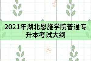 2021年湖北恩施學(xué)院普通專升本《C語言程序設(shè)計(jì)》考試大綱