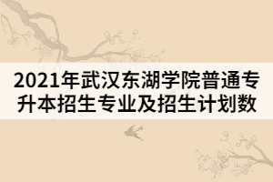 2021年武漢東湖學(xué)院普通專升本招生專業(yè)及招生計(jì)劃數(shù)