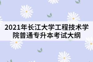 2021年長江大學工程技術學院專升本《管理學原理》考試大綱