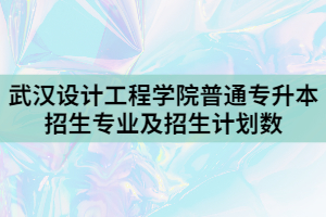 2021年武漢設(shè)計工程學院普通專升本招生專業(yè)及招生計劃數(shù)