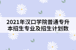 2021年漢口學(xué)院普通專升本招生專業(yè)及招生計劃數(shù)