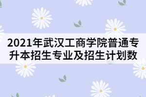 2021年武漢工商學院普通專升本招生專業(yè)及招生計劃數(shù)