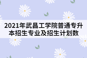 2021年武昌工學(xué)院普通專升本招生專業(yè)及招生計(jì)劃數(shù)