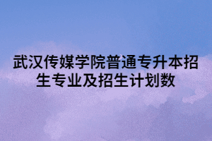 2021年武漢傳媒學(xué)院普通專升本招生專業(yè)及招生計劃數(shù)